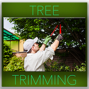 Tree Trimming - Boulder Tree Service